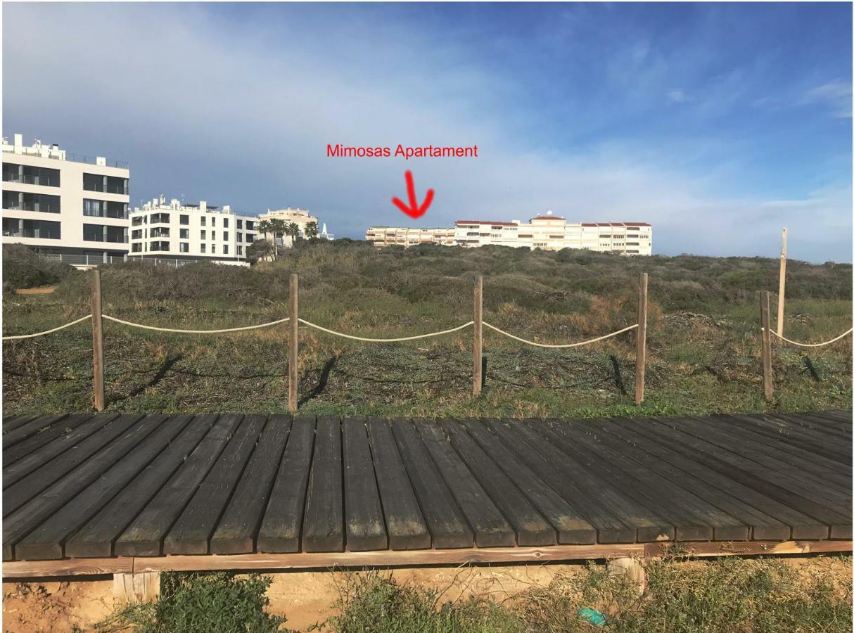 Mimosa Apartment グアルダマル・デル・セグラ エクステリア 写真
